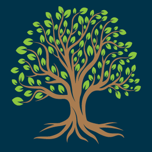 Team Page: Otto Family Law S.C.